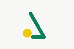 Ставки на турниры и лиги по бенди
