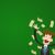 Бонусхантинг