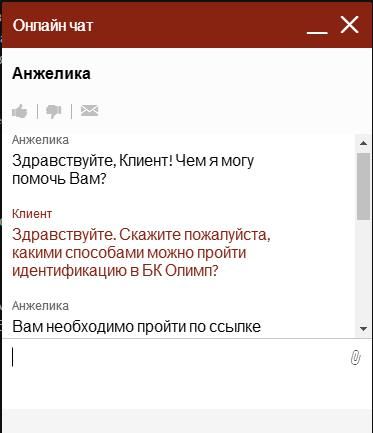 Онлай-чат на десктопной версии сайта