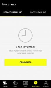 Отчёт с историей ставок