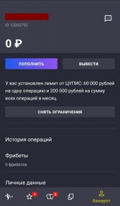 Состояние счёта в конторе