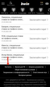 Ссылки на службу поддержку на мобильном сайте БВин