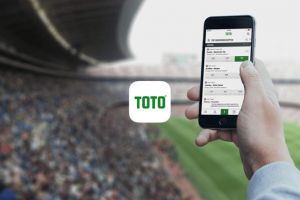 Стратегия игры на тотализаторе "Ставим на меньшинство"