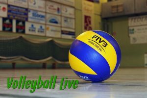 Стратегия ставок Volleyball Live