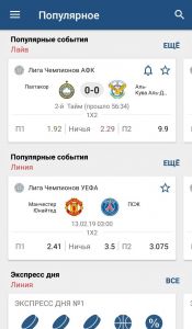 Внешний вид мобильного приложения