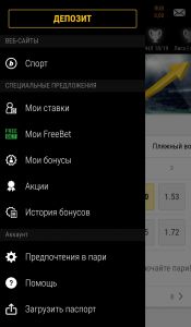 Все возможности приложения БК Bwin